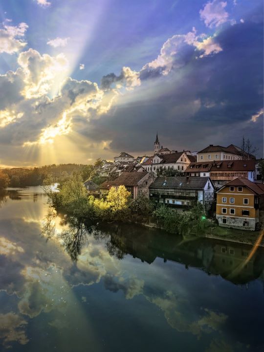 Pavlin inženiring